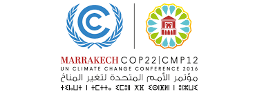 La IS en la COP22 en Marrakech