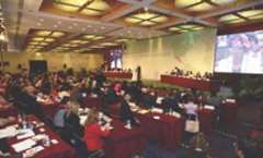 Reunión del Consejo de la IS en México, D.F