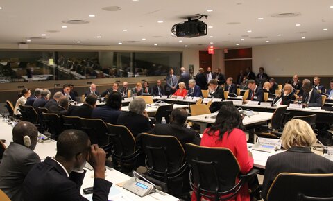 Reunión del Presidium de la IS y Jefes de Estado y de Gobierno, Naciones Unidas, Nueva York, 2019