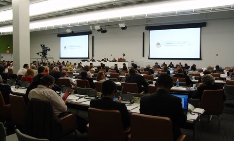 Consejo de la IS en Naciones Unidas, Nueva York