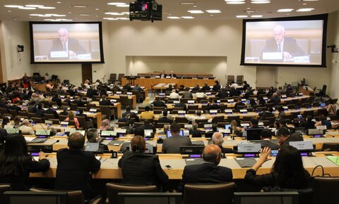 Reunión del Consejo de la IS en Naciones Unidas en Nueva York