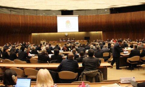 Reunión del Consejo de la IS en las Naciones Unidas en Ginebra